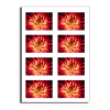 25x3inrectanglesheetsqp